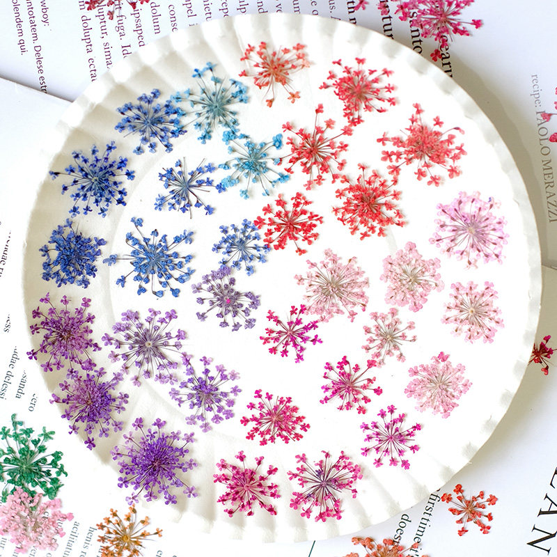 24pcs, 2-2.5cm, Nature Dyed Mi - đánh giá và giá Resin Art Frame