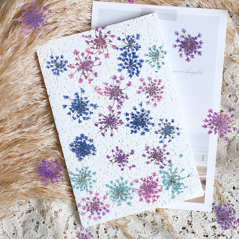 24pcs, 2-2.5cm, Nature Dyed Mi - đánh giá và giá Resin Art Frame