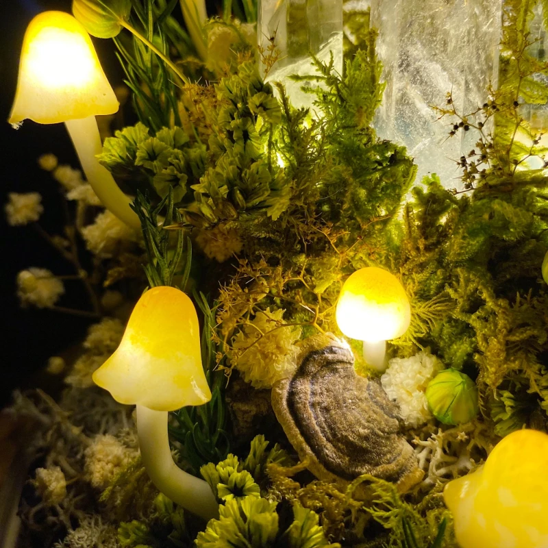 Enchanted Forest Mushroom Nigh - đánh giá và giá Resin Art On Wood