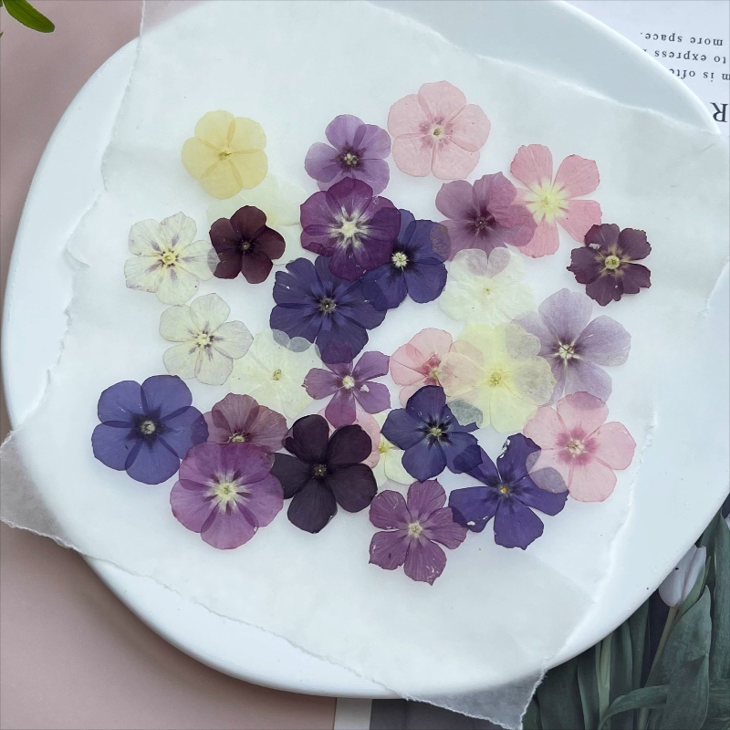 12pcs,Semi-Transparent Niche P - đánh giá và giá Resin Art Liquid